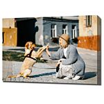 Photo canvas, create prints from pictures! (standard sizes)