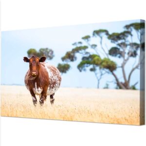 Print photos on canvas