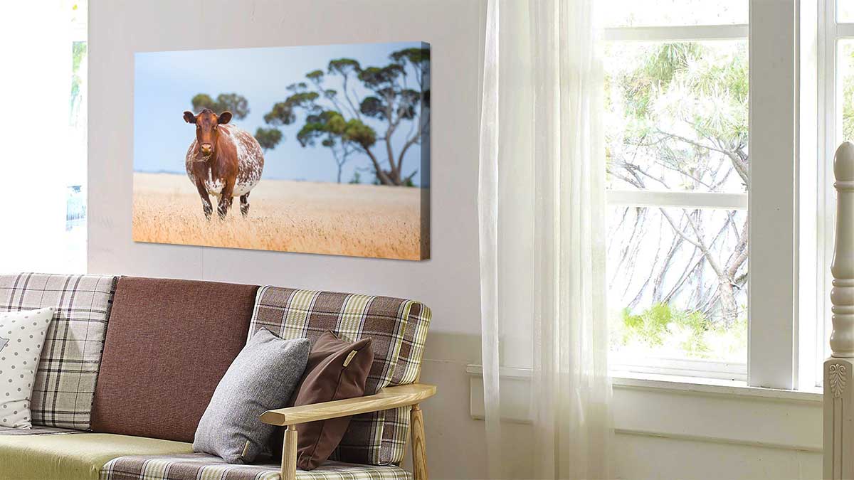 Picture of a cow in a field printed on canvas and hung in a hallway