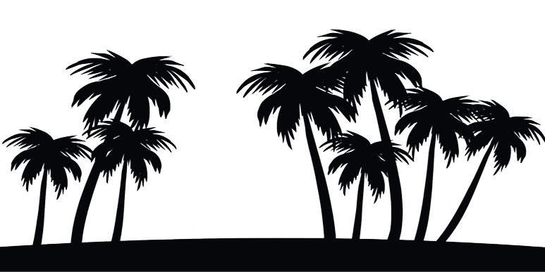 Picture of a panorama with palm trees