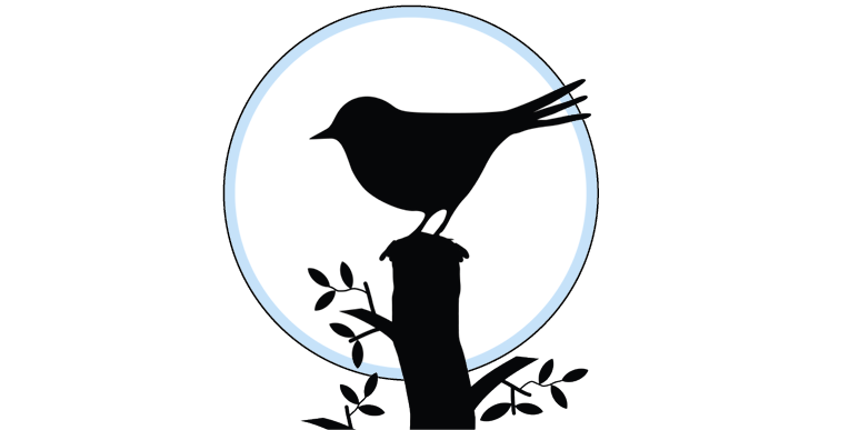Picture of a bird in silhouette