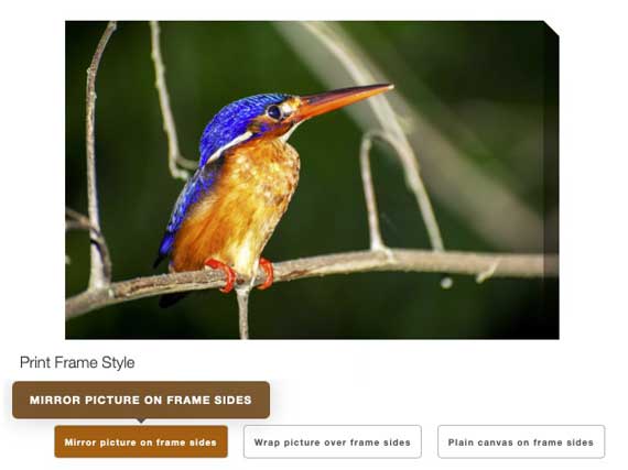 Screenshot of a preview showing 'Mirror picture on frame sides'