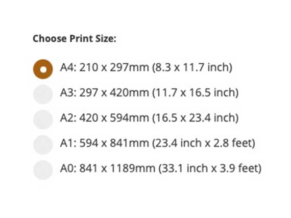 Image showing the list of print sizes